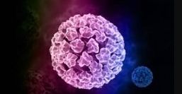 Human Papillomavirus Vaccination