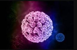 Human Papillomavirus Vaccination