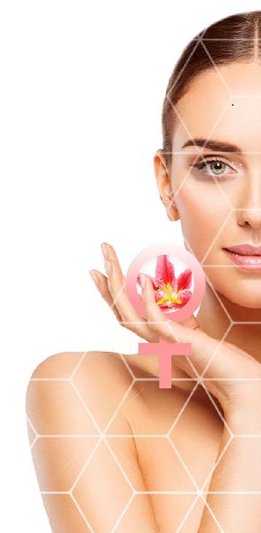 Touch of Art in Cosmetic Gynecology